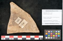 Foto (Objekt + Etikett) von Jordania moravica Helmh. (NHMW-GEO-2024-0188-11140)